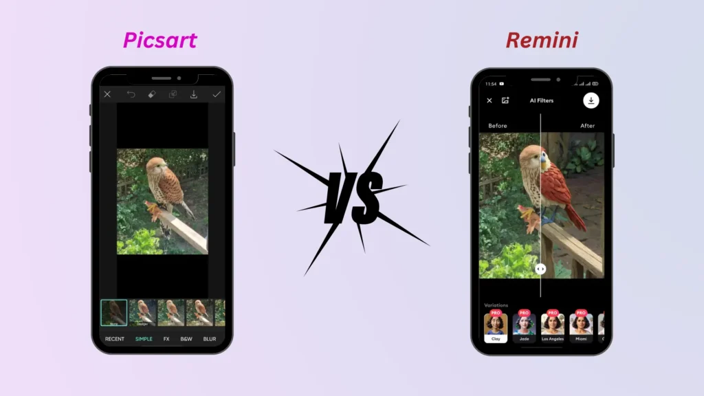 PicsArt-vs-Remini-filters-and-effects-feature